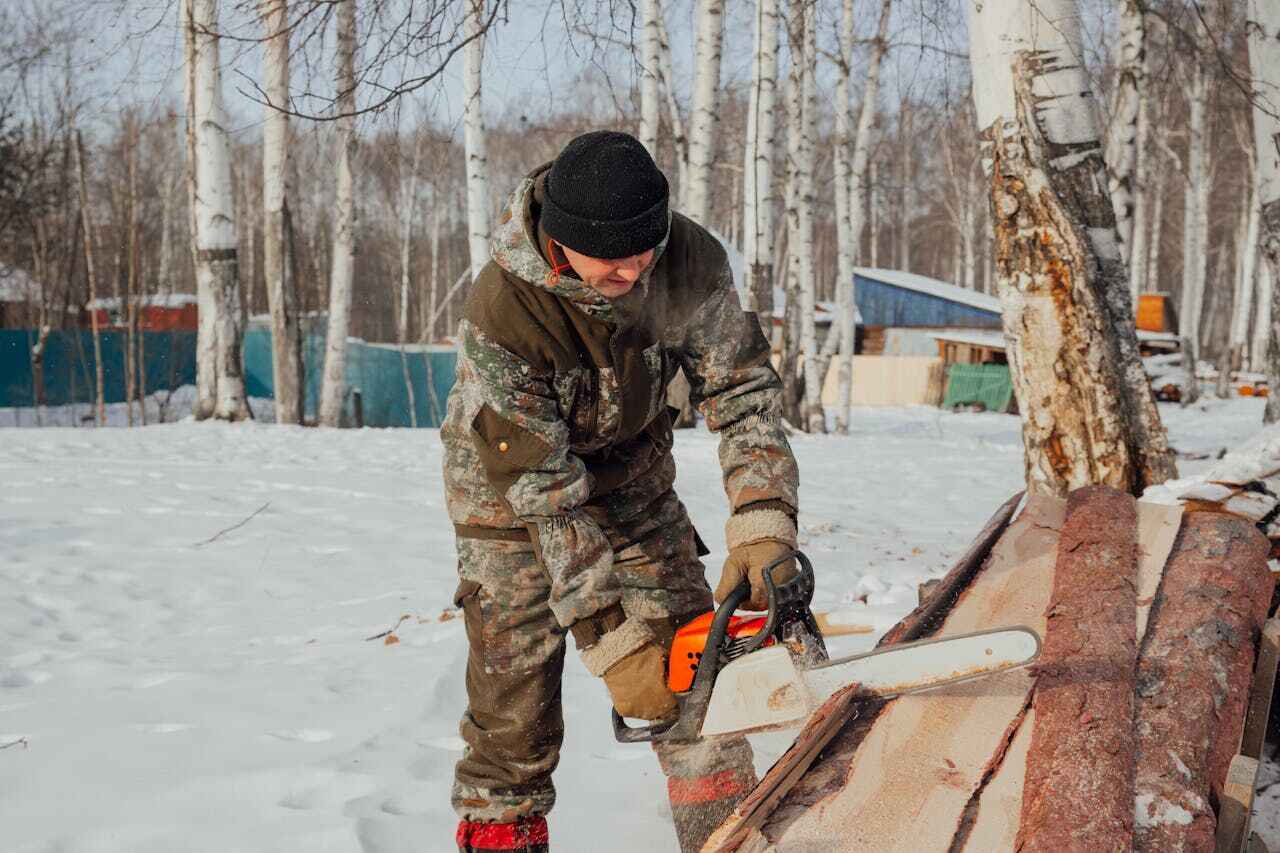 The Steps Involved in Our Tree Care Process in Goodhue, MN